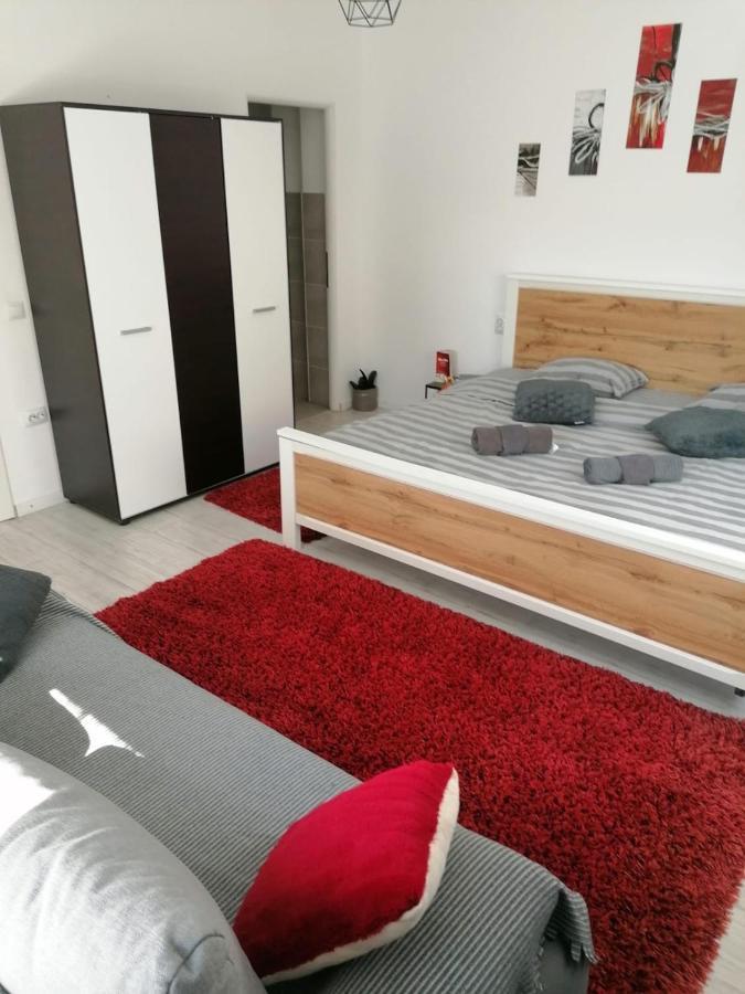 Ana Cluj-Napoca